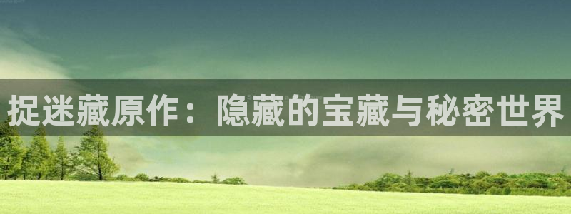 51动漫在线下载：捉迷藏原作：隐藏的宝藏与秘密世界